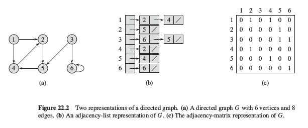 undirected graph